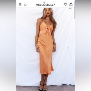 Hello Molly Dress (S)